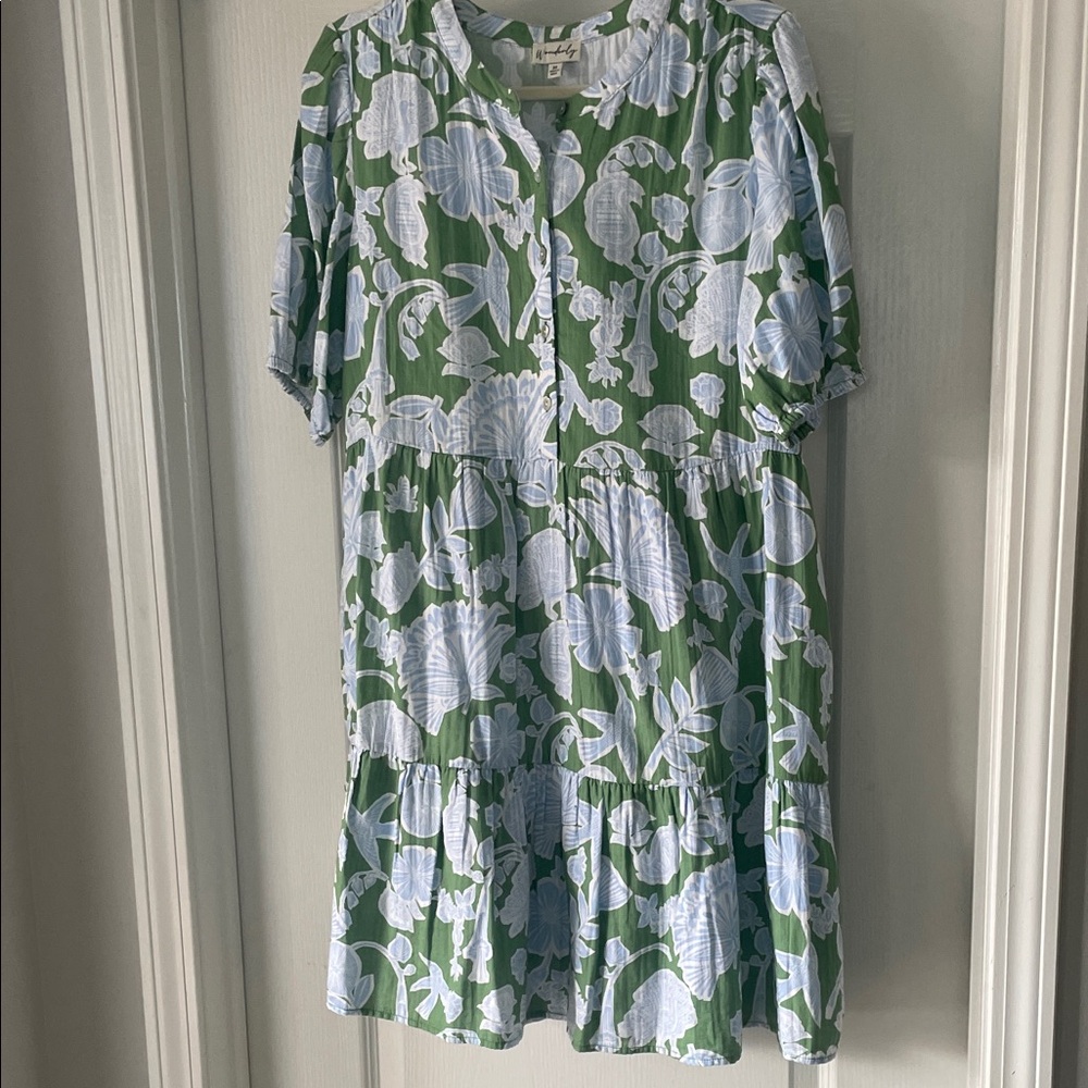 Wonderly Green and Light Blue Floral Dress